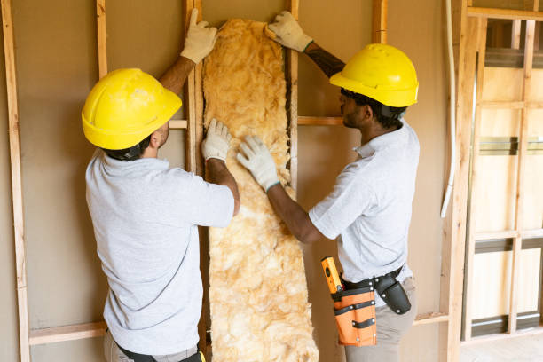 Best Insulation Removal  in Pleasant Hill, PA